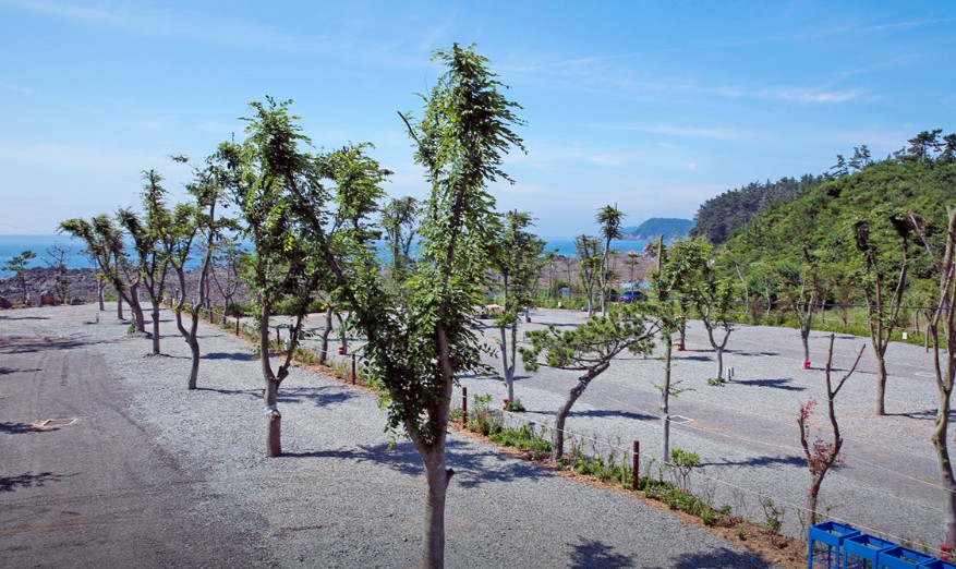 태안 파도와노을캠핑장 이미지 8