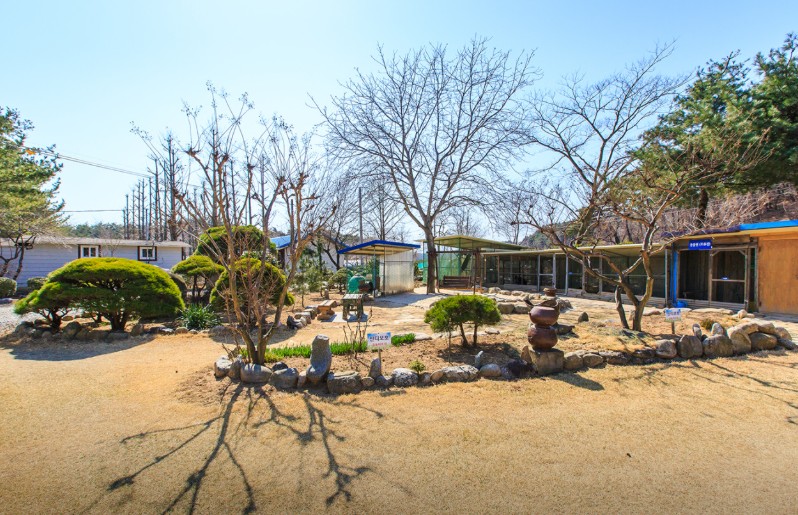 양양 솔밭가족캠프촌 이미지 3