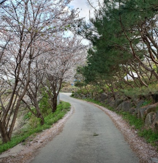 풍성채 캠핑장 이미지 5