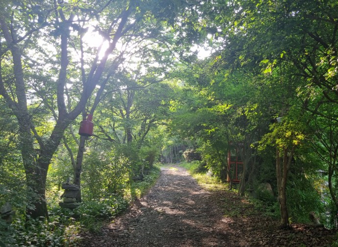 에코밸리오토캠핑장 이미지 6