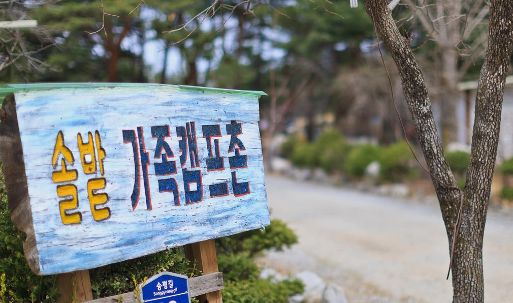 양양 솔밭가족캠프촌 이미지 6