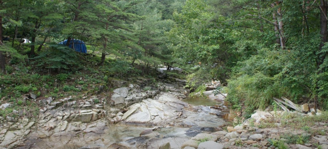 영월 소나무와계곡 이미지 3