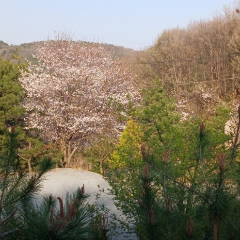 풍성채 캠핑장 이미지 2