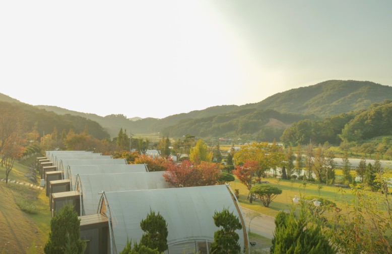 세종 다온숲 캠핑장 이미지 8