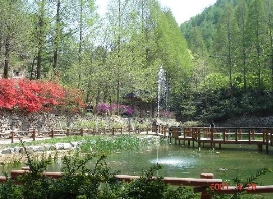 장태산자연휴양림 이미지 3