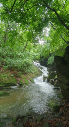 사가록캠핑장 이미지 2