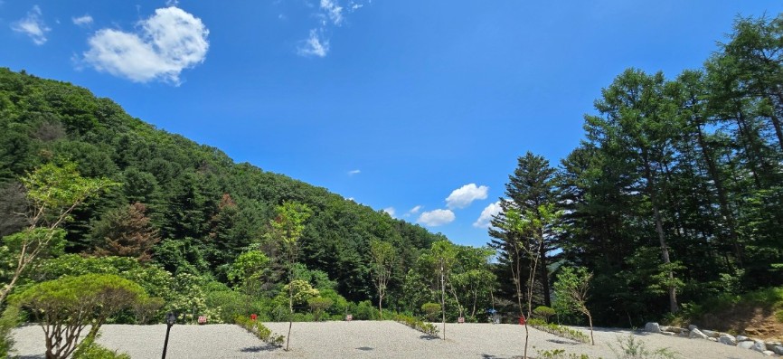 우니메이카 춘천점 이미지 4