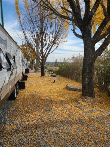 세종 블루문오토캠핑 이미지 5