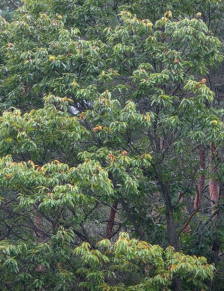 용화산테마파크캠핑장 이미지 3