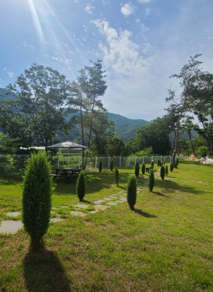 산내956 이미지 8