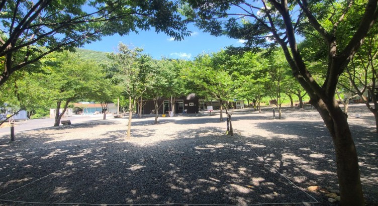 경주 알프스캠핑 이미지 2
