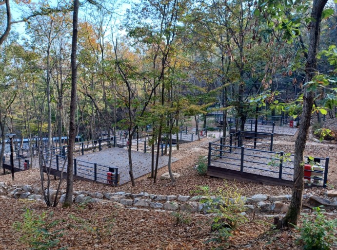 성북동숲속야영장 이미지 1