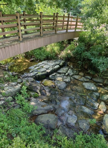 산디마을오토캠핑장 이미지 8