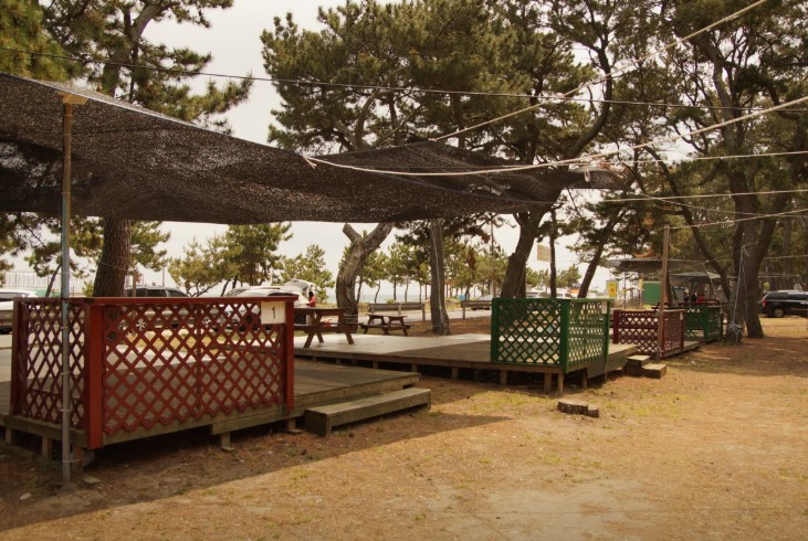 경주 관성해수욕장 솔밭캠핑장 이미지 5