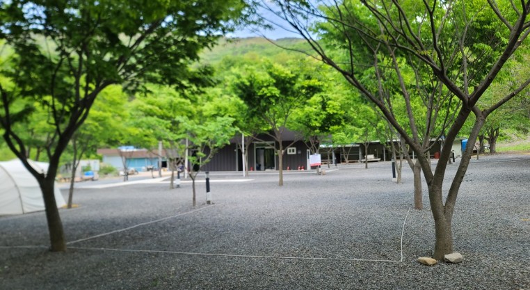 경주 알프스캠핑 이미지 5