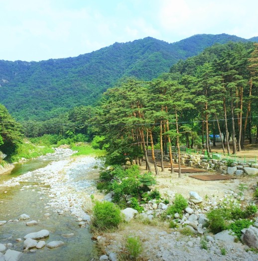 양양 오색솔밭야영장 이미지 1