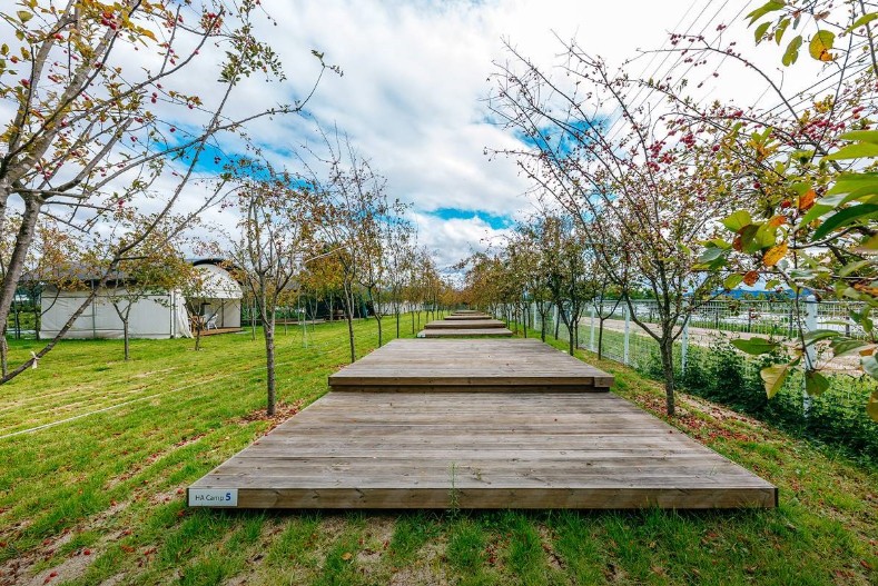 춘천 호반 캠핑장 & 글램핑 카라반 이미지 6