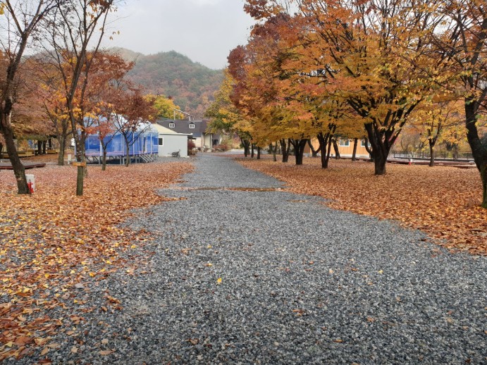 포천 뉴힐링캠핑장 이미지 4