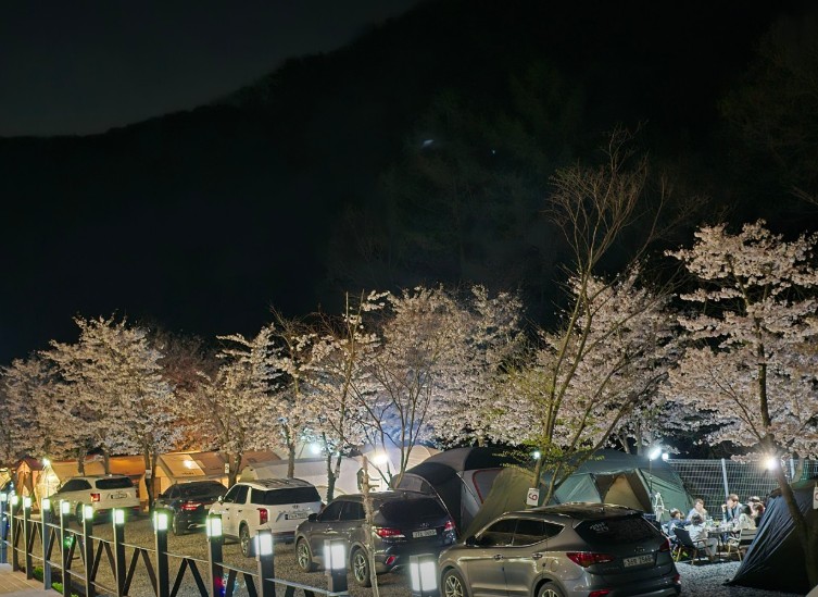 오솔길오토캠핑장 이미지 1