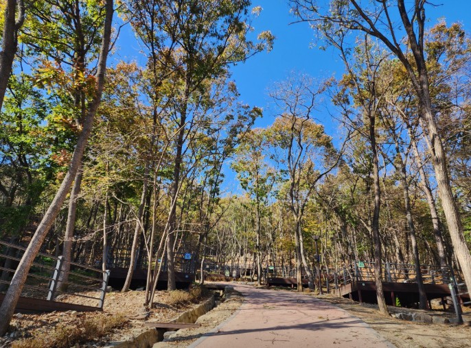 성북동숲속야영장 이미지 2