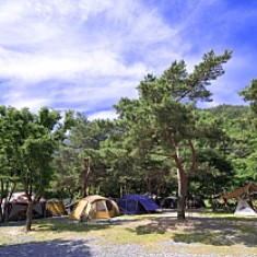 영월키즈캠핑장 이미지 6