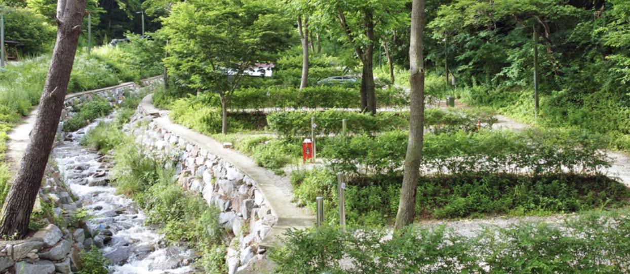 인제 진동리국민여가캠핑장 이미지 6