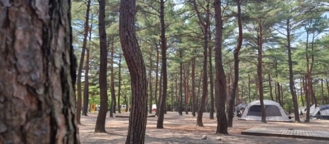 양양캠프장 이미지 1