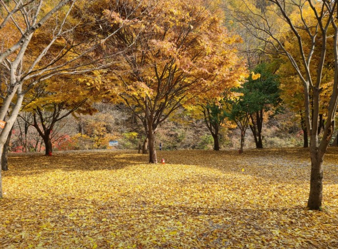 영월 남강캠프 이미지 2