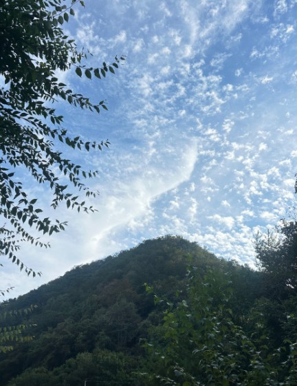 수복캠핑장 이미지 6