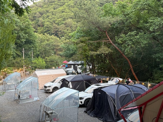 꿈을드림캠핑장 이미지 3