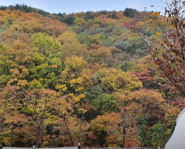 오솔길캠핑장 이미지 2