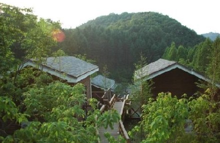 장태산자연휴양림 이미지 6