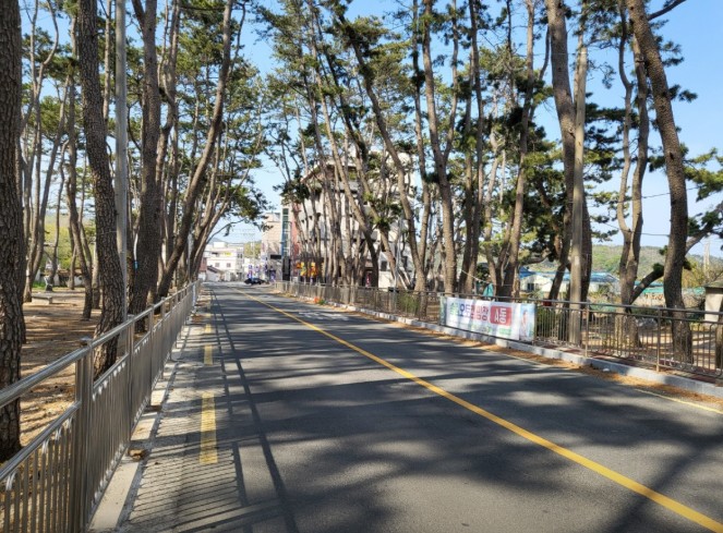 송림오토캠핑장 이미지 1