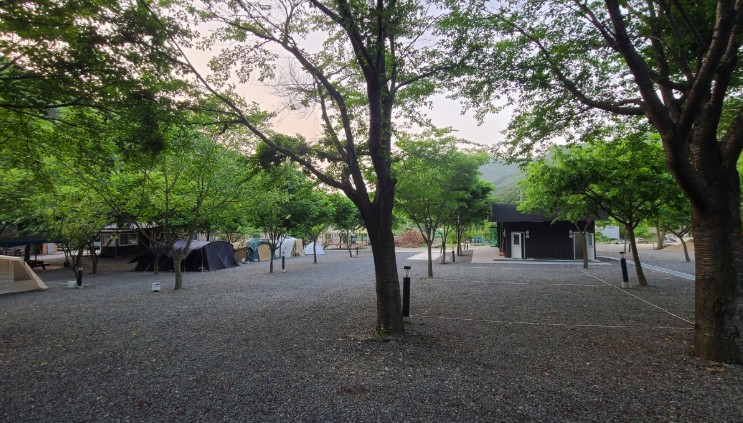 경주 알프스캠핑 이미지 6