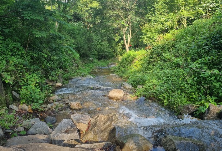 에코밸리오토캠핑장 이미지 3