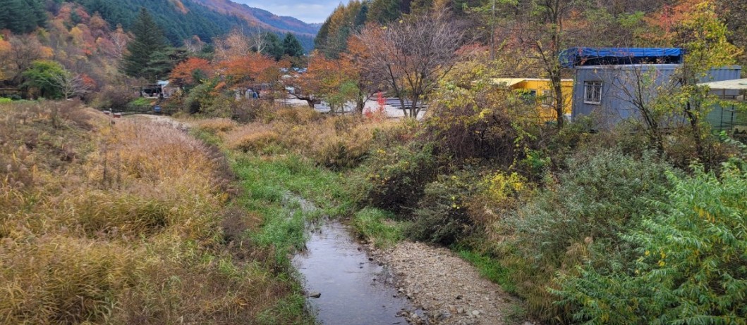 늘솔길 이미지 3