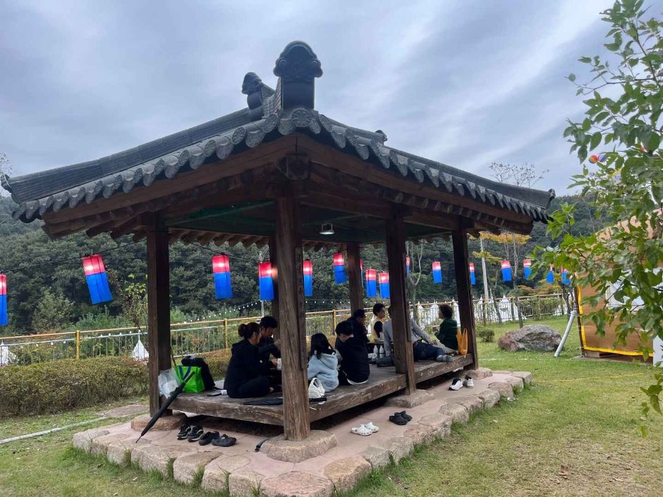 청원생명축제 이미지 6