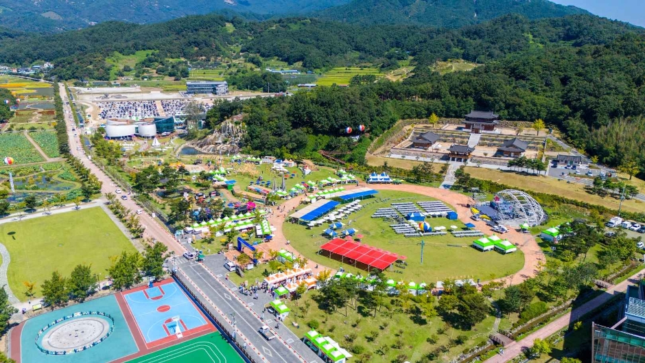 함양산삼축제 이미지 2