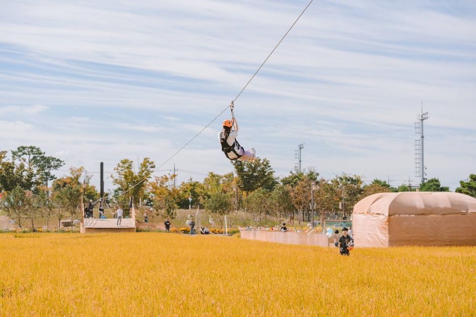 김제지평선축제 이미지 7