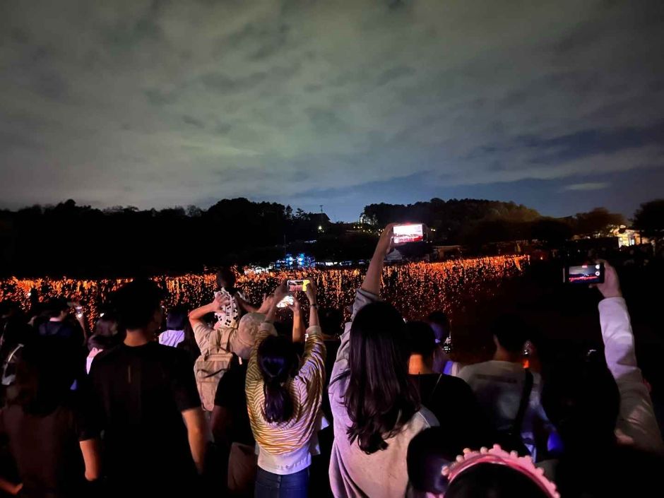 청원생명축제 이미지 2