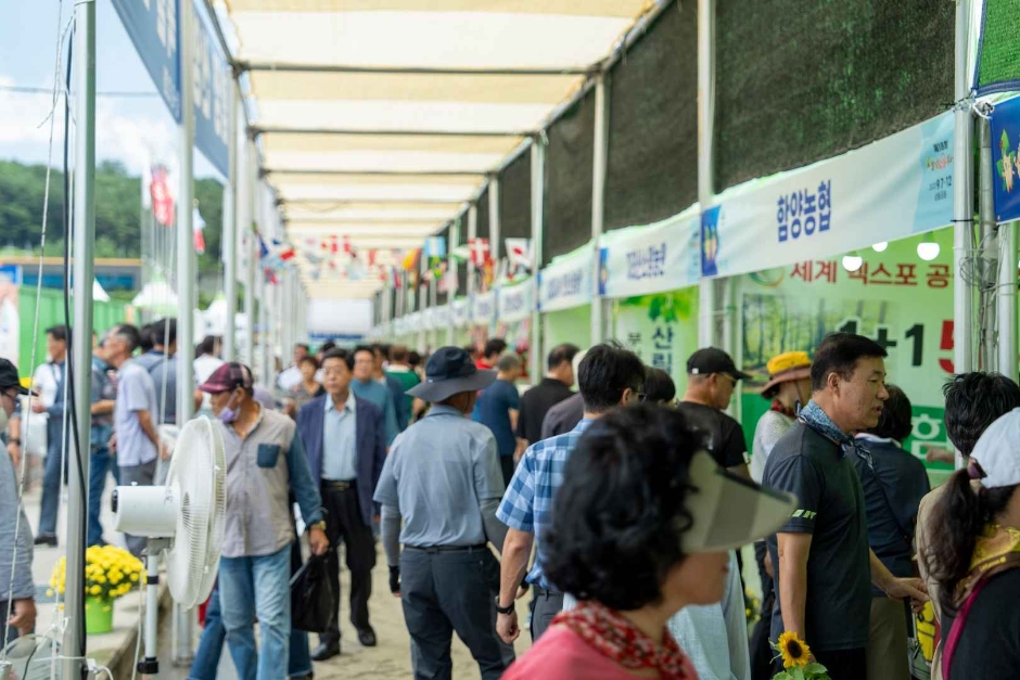 함양산삼축제 이미지 3
