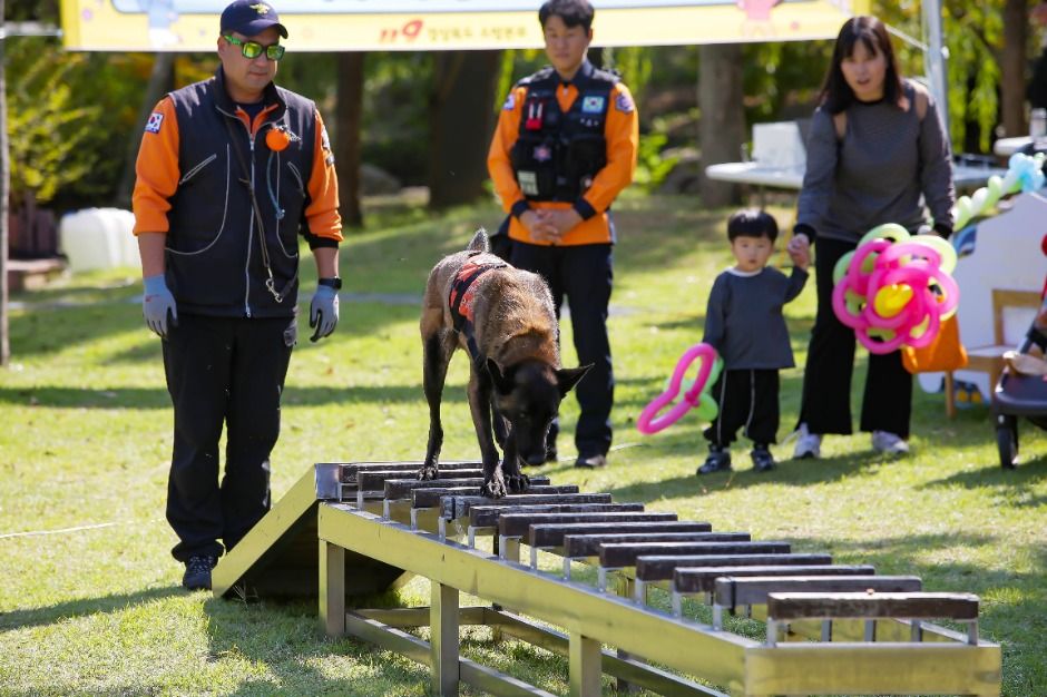 안아드림 페스티벌 이미지 7