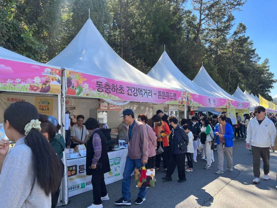 청원생명축제 이미지 7