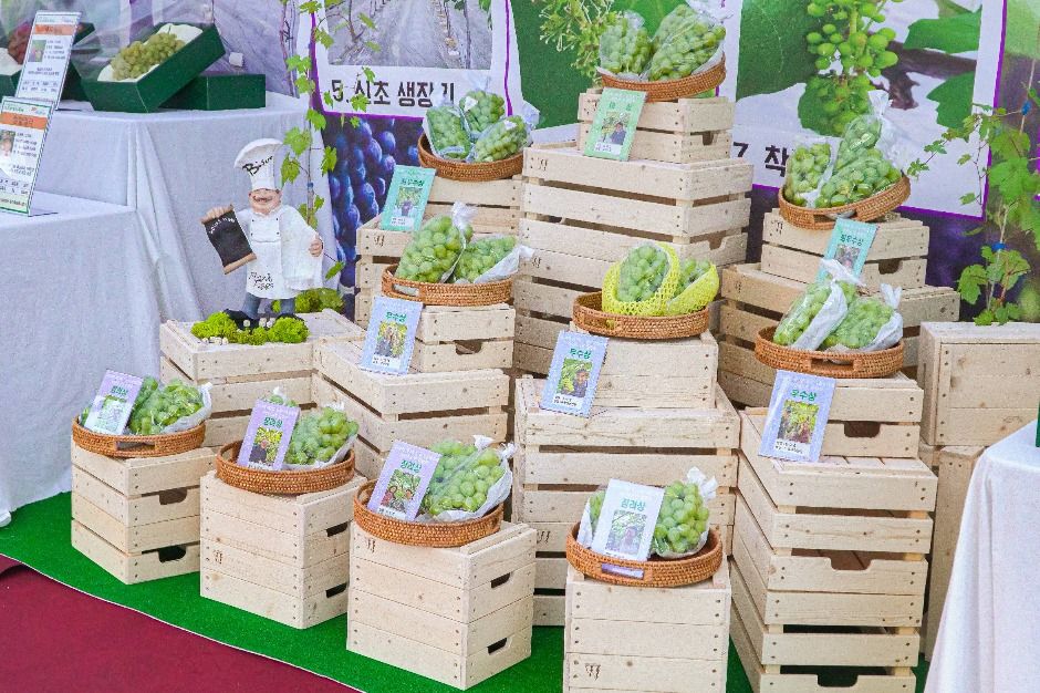 화성시 도농 어울림축제 이미지 2