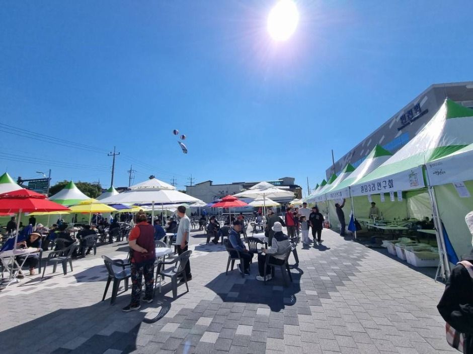 연천고려인삼축제 이미지 1