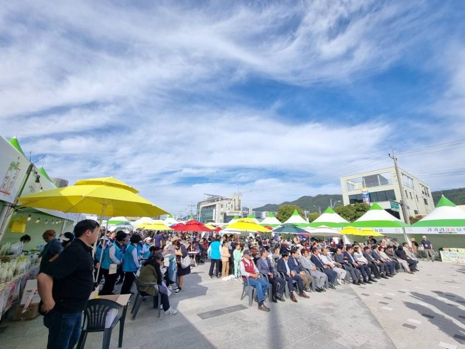 연천고려인삼축제 이미지 3