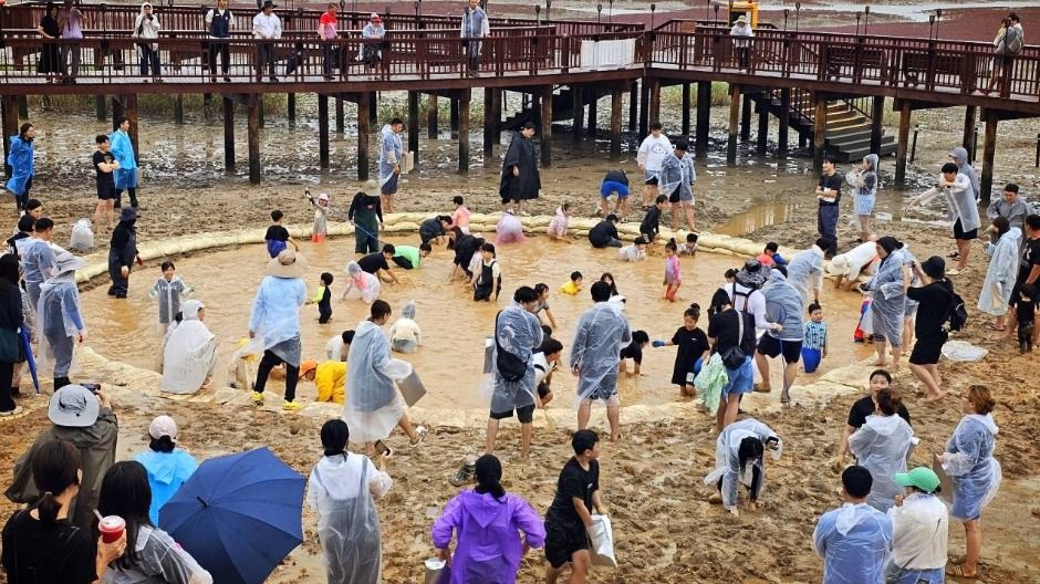 무안 황토 갯벌축제 이미지 1