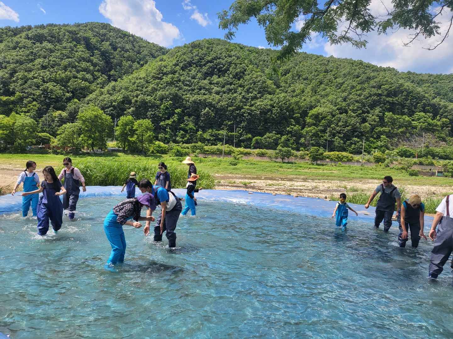 양평메기수염축제 이미지 4
