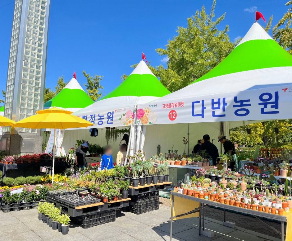 고양가을꽃축제 이미지 6
