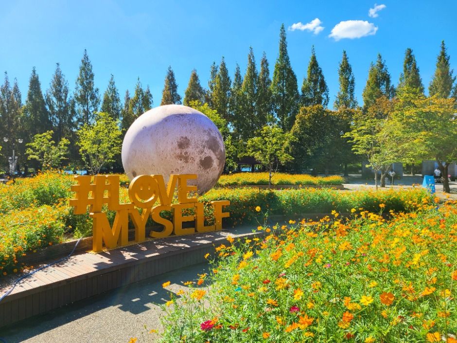 고양가을꽃축제 이미지 1